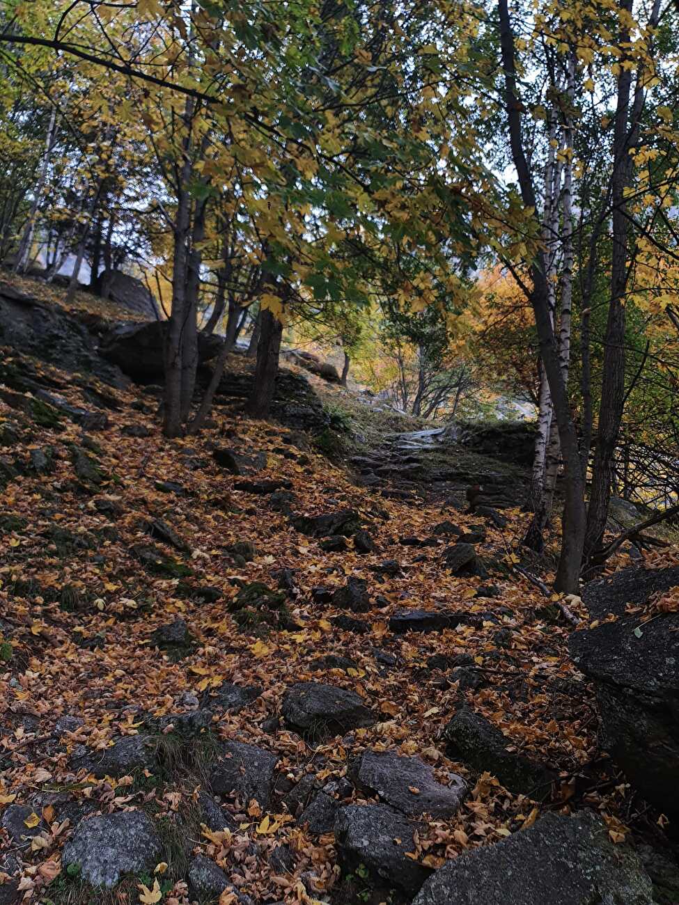 Ferro, Val del Ferro, Val di Mello, Italia - Le Rocher Ferro a Val del Ferro (Val di Mello)