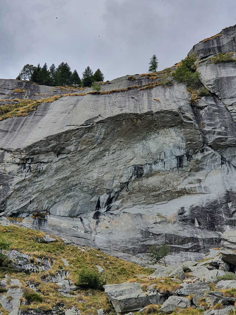 Ferro, Val del Ferro, Val di Mello, Italia - Le Rocher Ferro a Val del Ferro (Val di Mello)