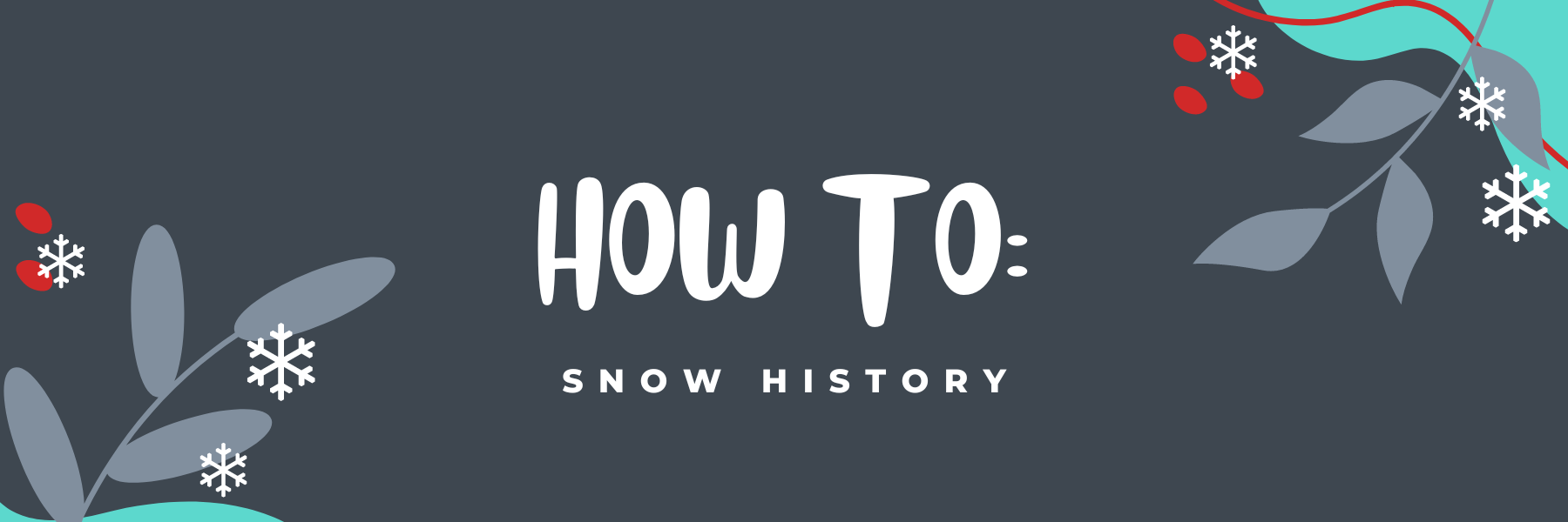 COMMENT FAIRE : Accéder à l'historique de la neige des stations de ski sur notre site Web
