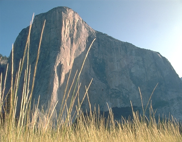 Le Nez El Capitan - Le Nez : Photo Francesco Piardi