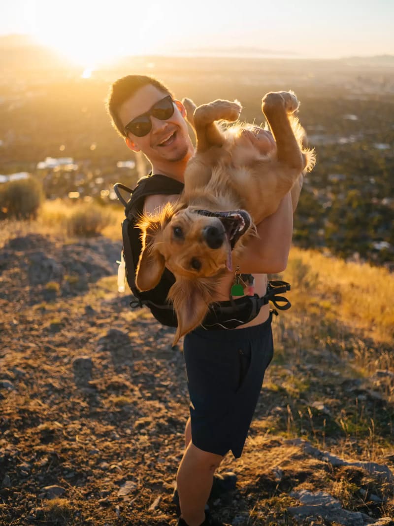 Un homme achète une caméra de surveillance pour filmer son chien en train de faire quelque chose de vraiment adorable.