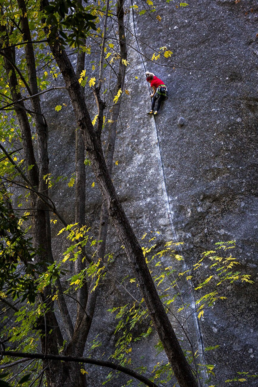 Barbara Zangerl - Barbara Zangerl sur 'Magic Line' à Yosemite, octobre 2024