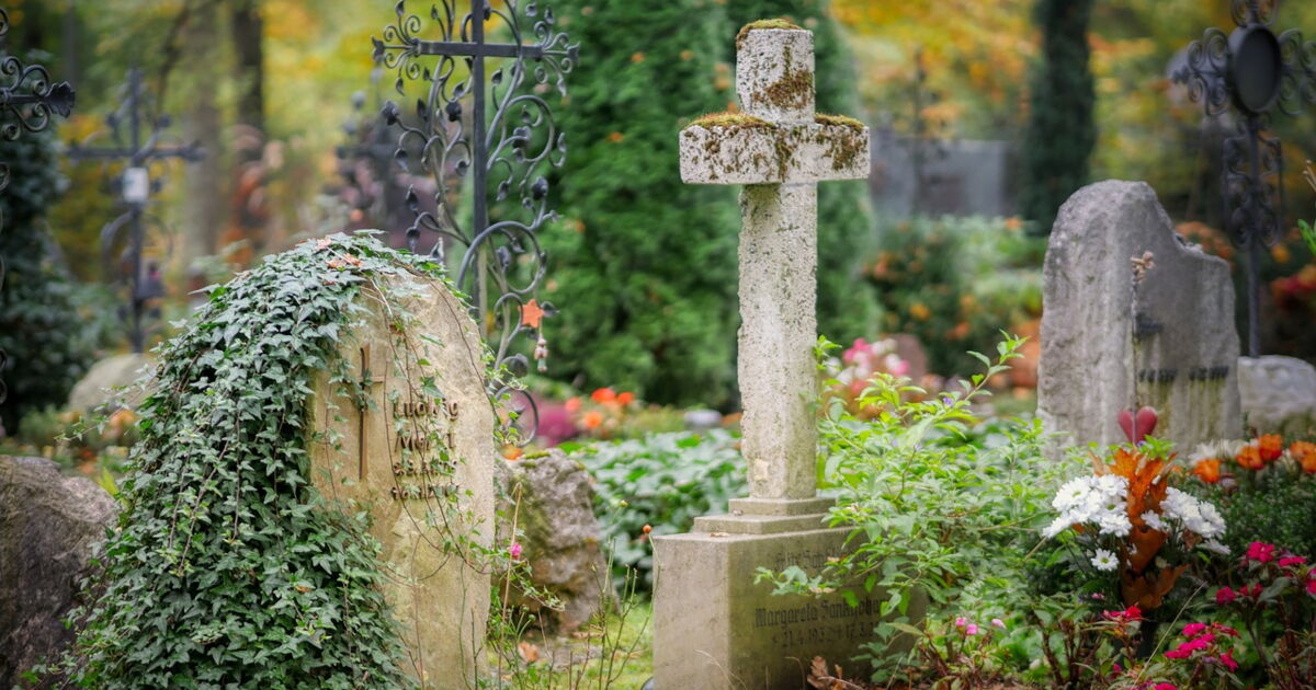 Archéologie une découverte fascinante dans un cimetière anglais