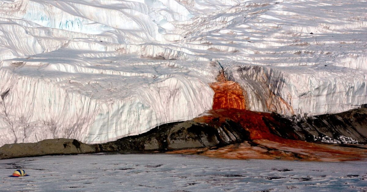 mystère des cascades de sang en Antarctique