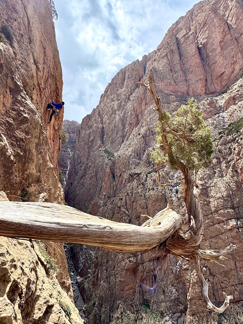 Taghia, Maroc, Jebel Oujdad, Ion Cross Lazkoz, «Basque Dance» d'Iker Pou sur la face sud de Jebel Oujdad au Maroc (Ion Cross Lazkoz, Iker Pou 04/2025)
