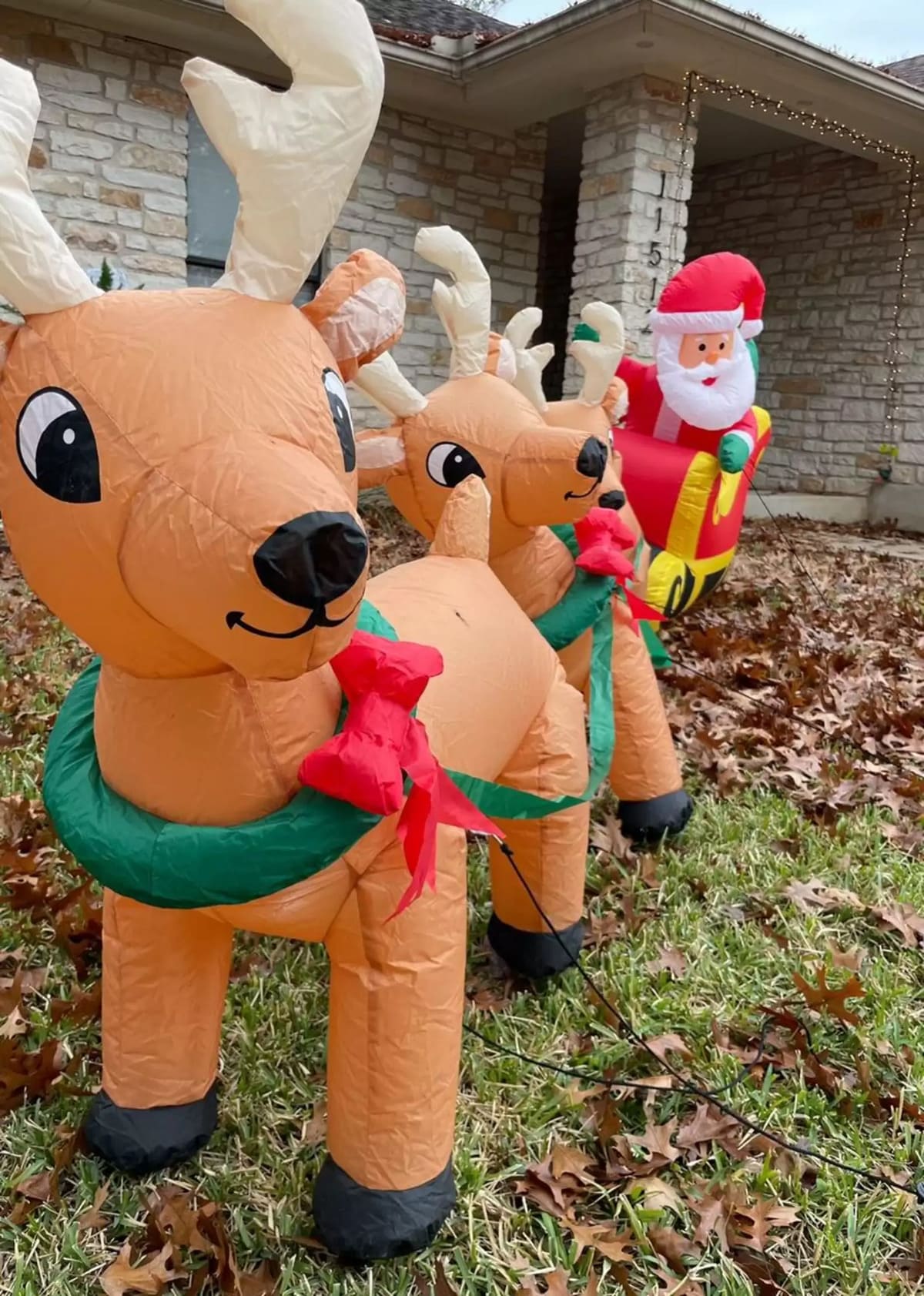 Des cerfs s’acharnent sur un renne gonflable