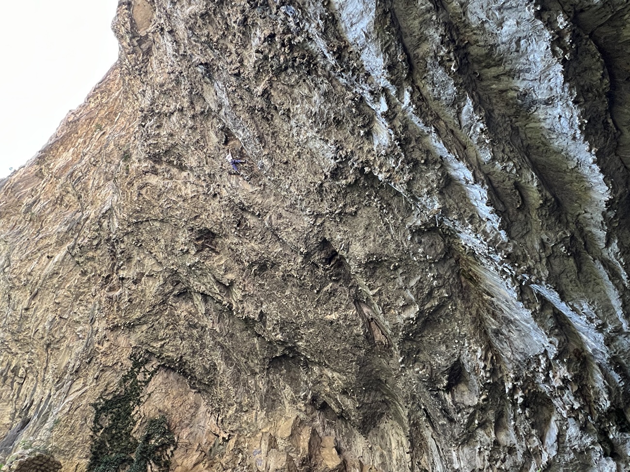 Janja Garnbret - Janja Garnbret sur le `` héros de la classe ouvrière '' (8c) à OSP en Slovénie le 30/05/2025
