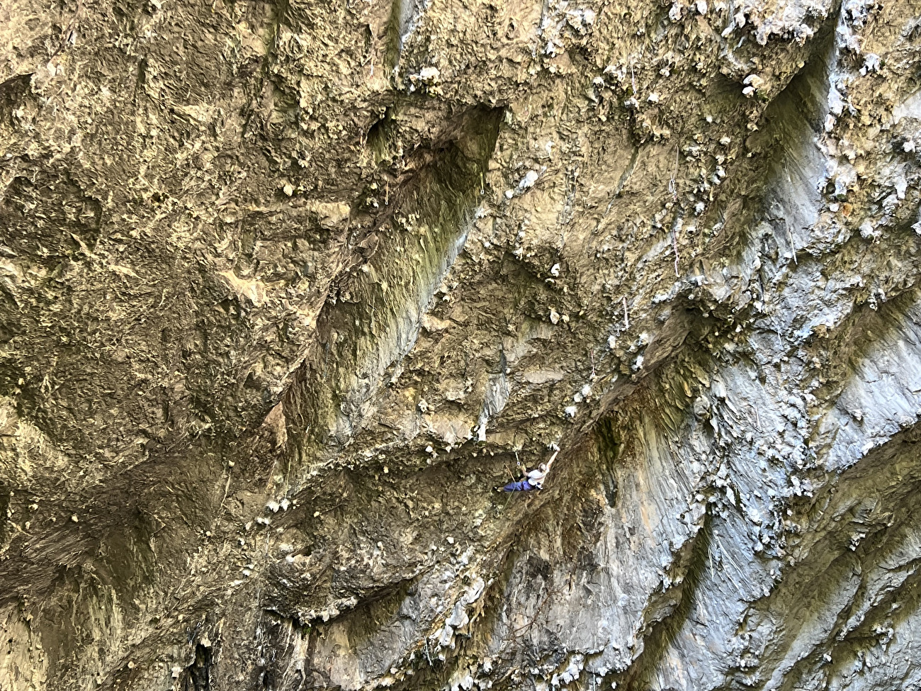 Janja Garnbret - Janja Garnbret sur le «Osap Monster» (8C) à OSP en Slovénie le 30/50/2025