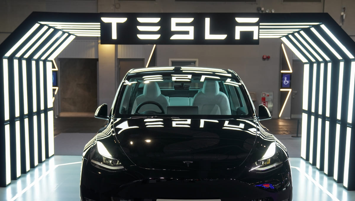 Véhicule Tesla à bas prix