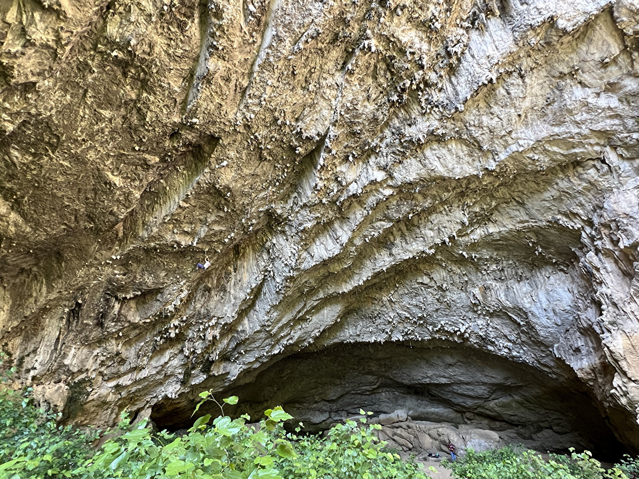 Janja Garnbret sur deux 8c en une journée à OSP en Slovénie