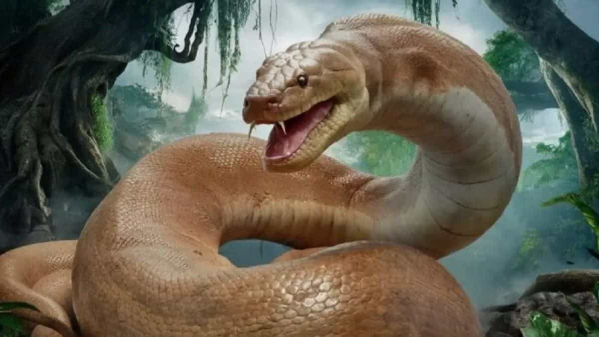 Les restes du plus long serpent de l’histoire découverts en Inde