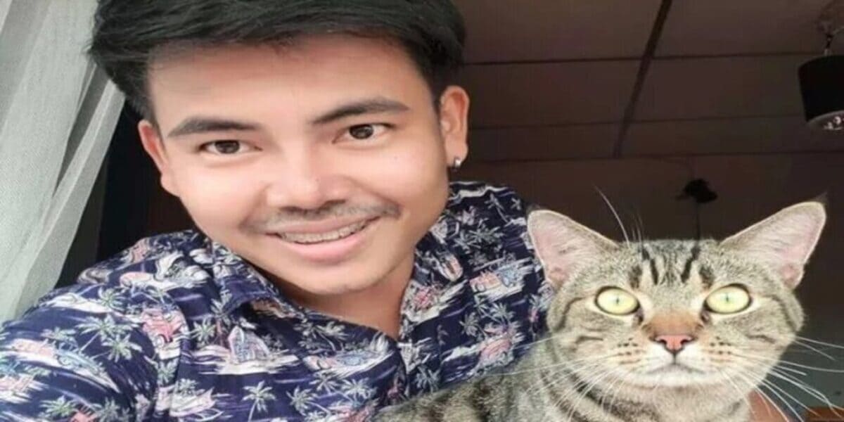 ce chat le fixe toute la nuit