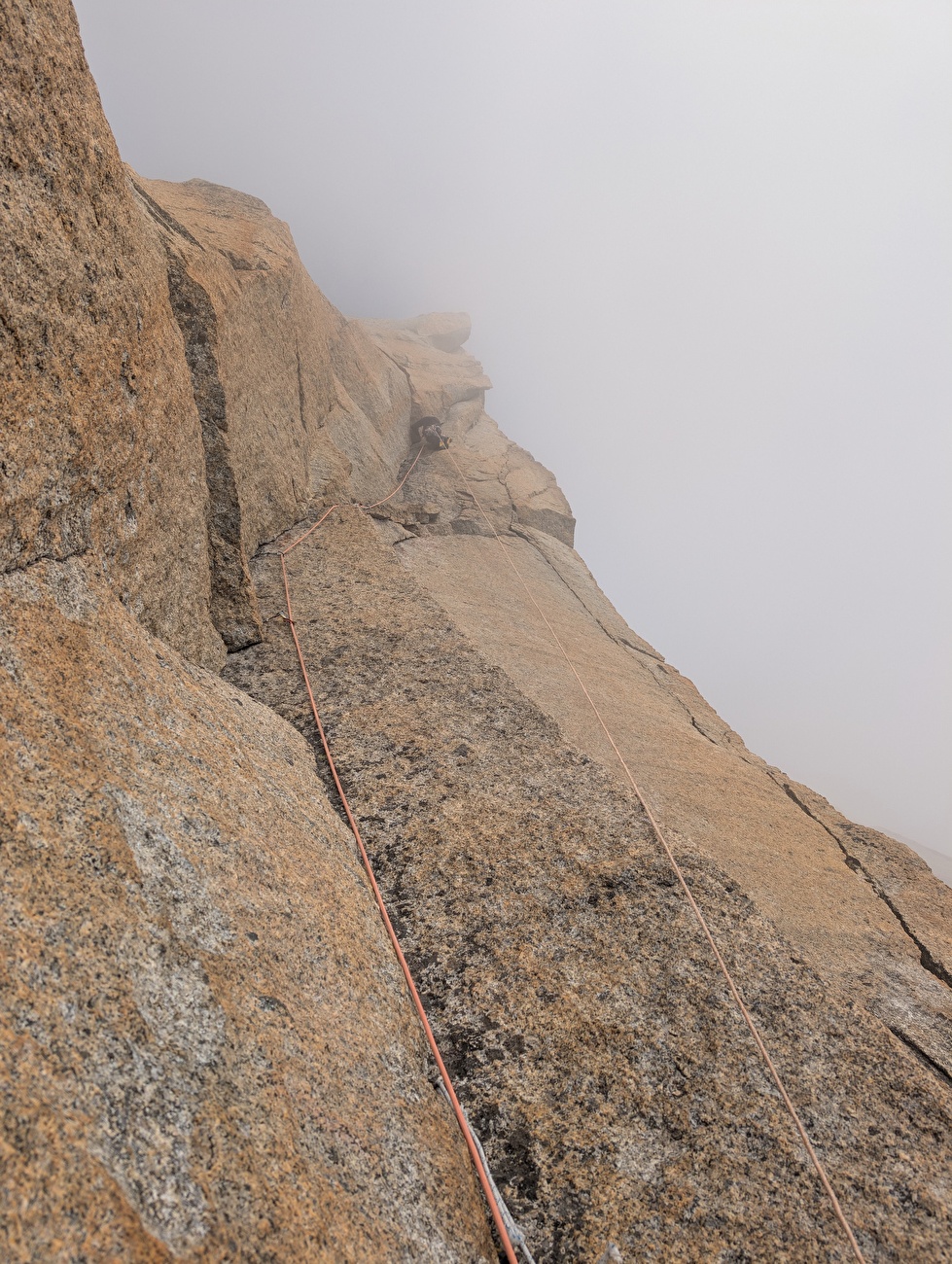 Les Drus Mont Blanc, Léo Billon, Enzo Oddo - The first free ascent of 'Voie Lafaille', west face of Les Drus (Léo Billon, Enzo Oddo summer 2024)