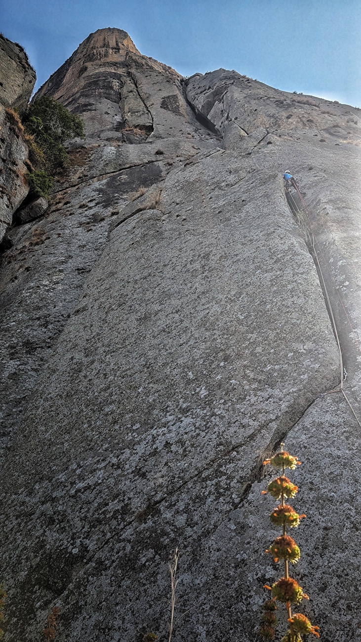 Angola Cumbiro, A. Díaz, Álvaro García, Indi Gutierrez, David Matos, Juanjo Medina, Manu Ponce, Gonzalo Torre - faisant la première ascension de `` Terra Da Maginguba '' (480m, 7b, A0), la première route sur l'agitation (Indi Gutierre sur Gutierre Gonzal 2025)