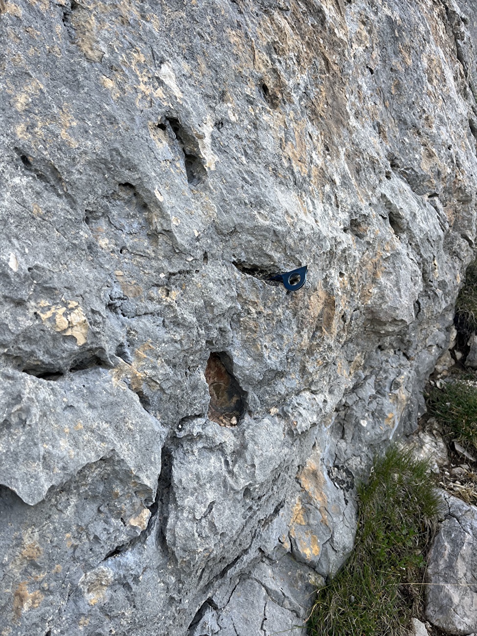 Avec Bechei, Dolomites, Daniele Bolognani, Davide Dallago - Une cheville marque le début de la «maternelle» sur Col Bechei, Dolomites (Daniele Bolognani, Davide Dallago 12/07/2025)