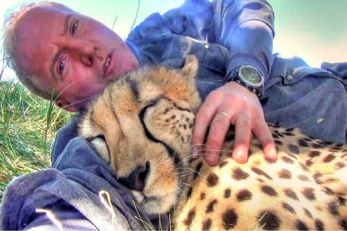 Ce photographe animalier s’est réveillé blotti contre un guépard 1