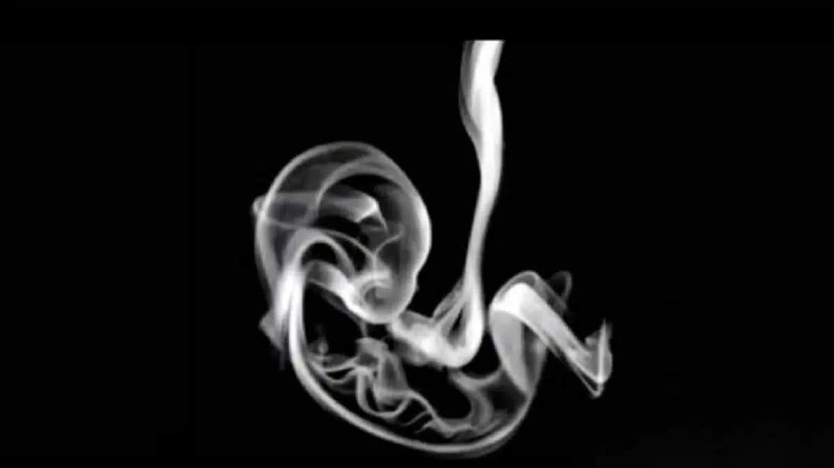 Ce que vous voyez en premier dans cette image