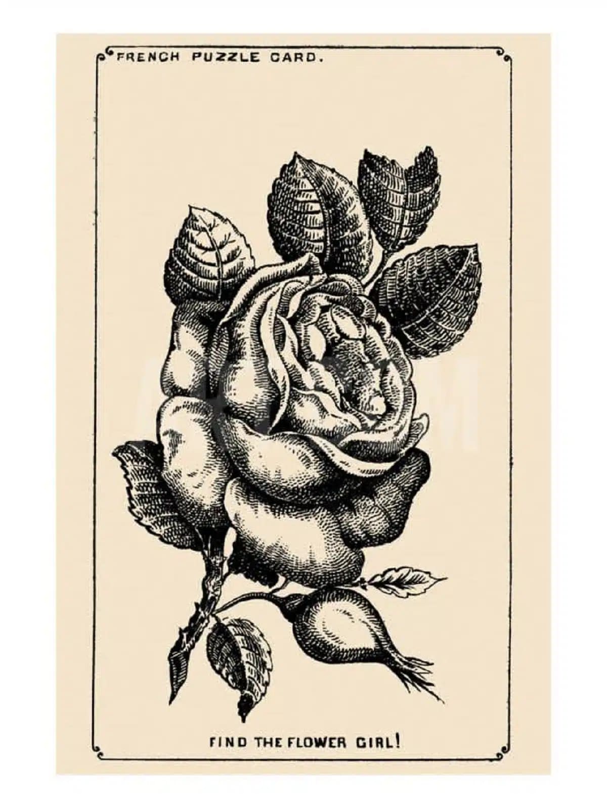 saurez-vous repérer le visage caché dans cette rose de 1880 ?