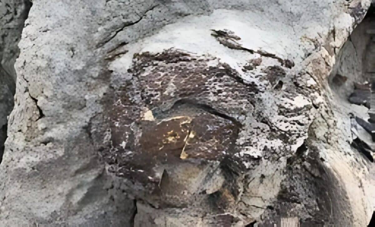 squelette de dinosaure presque intact avec sa peau