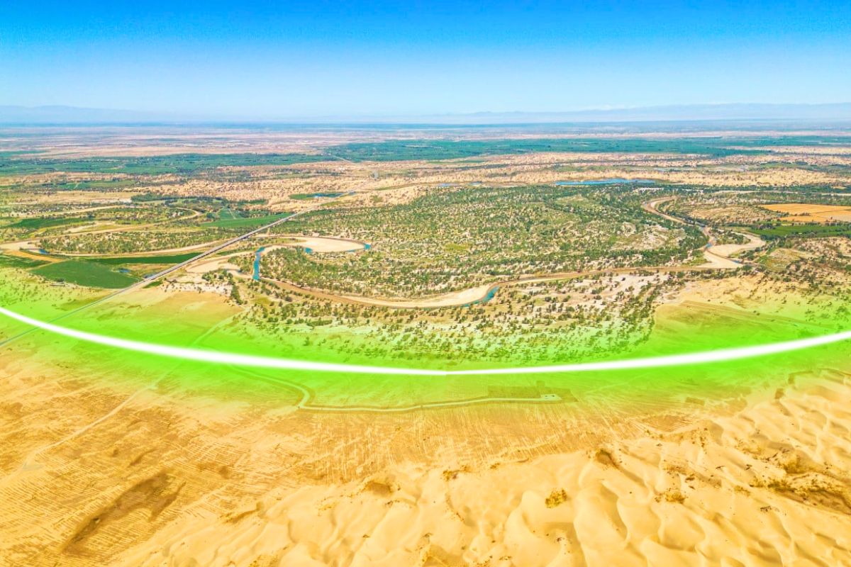 600 000 arbres plantés