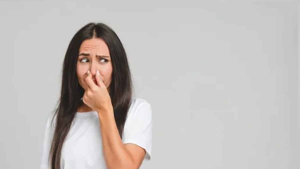 une méthode magique pour éliminer les mauvaises odeurs chez soi