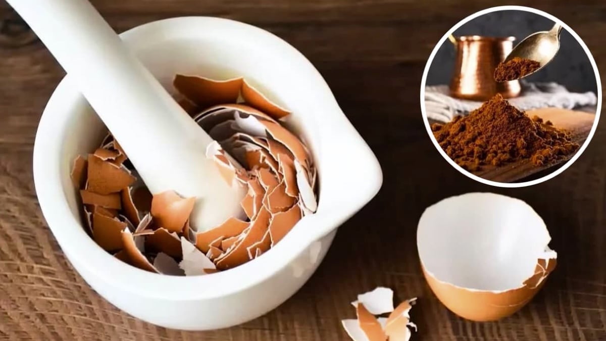 les experts recommandent de mélanger du café avec des coquilles d’œufs