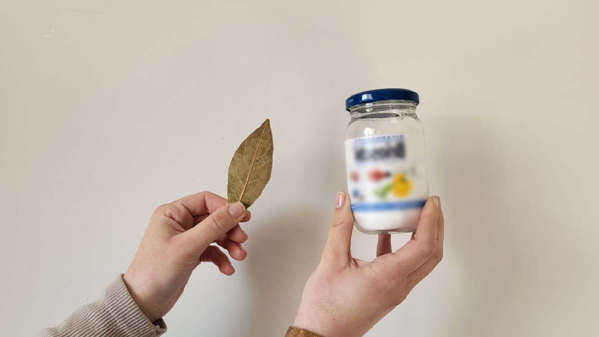 du bicarbonate et du laurier