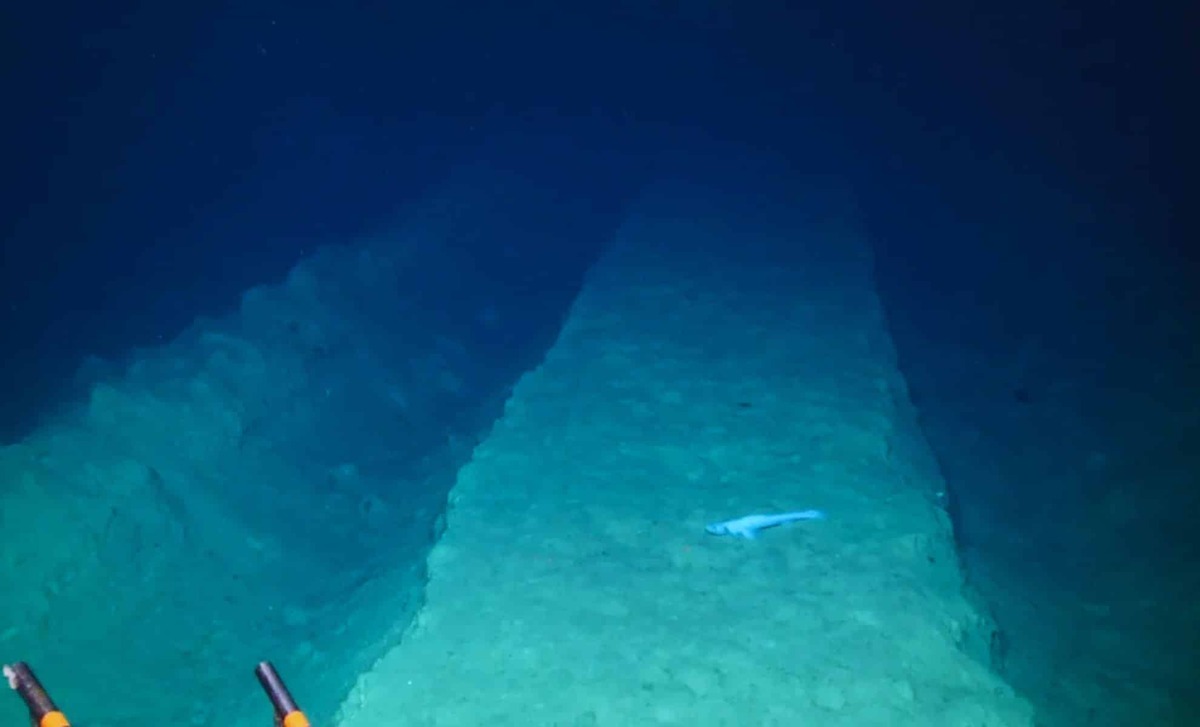 fond marin du Pacifique