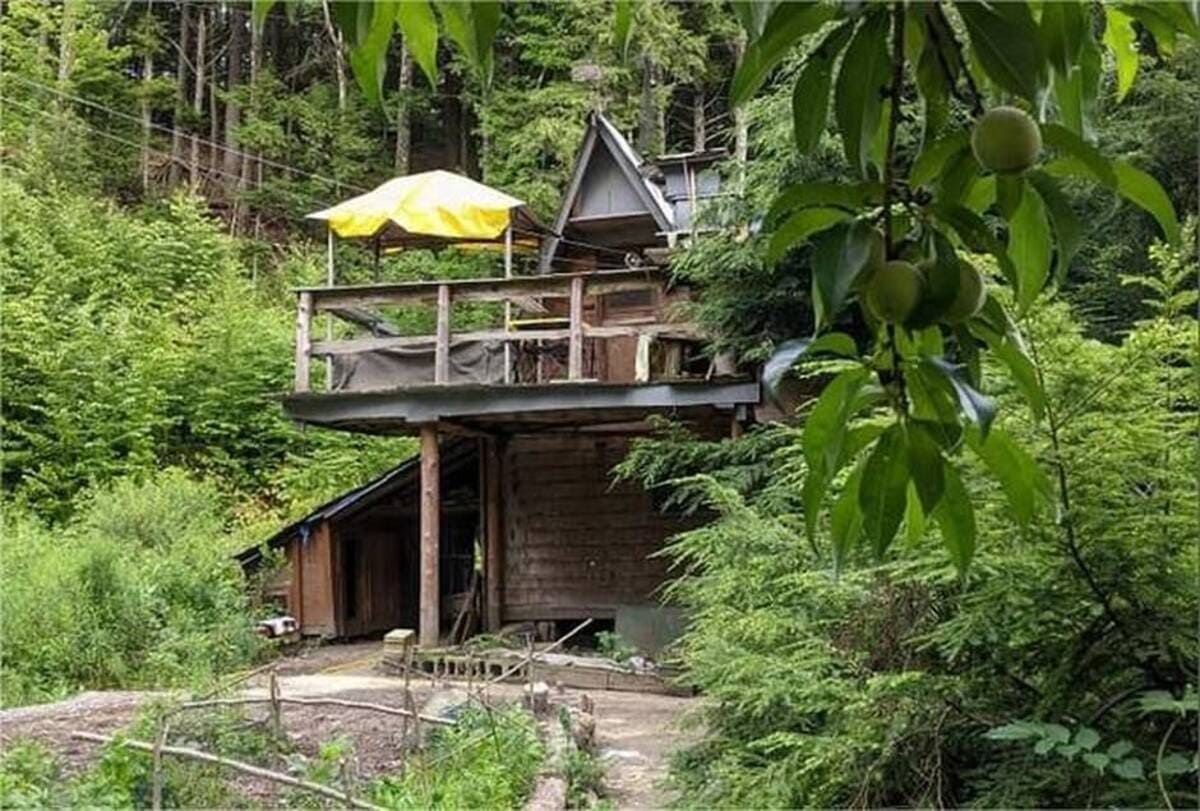 le-récit-poignant-d’un-homme-des-bois-1