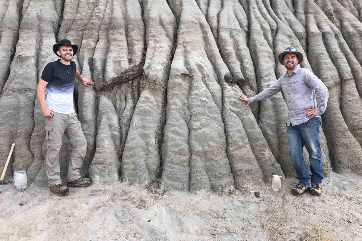 squelette de dinosaure presque intact avec sa peau