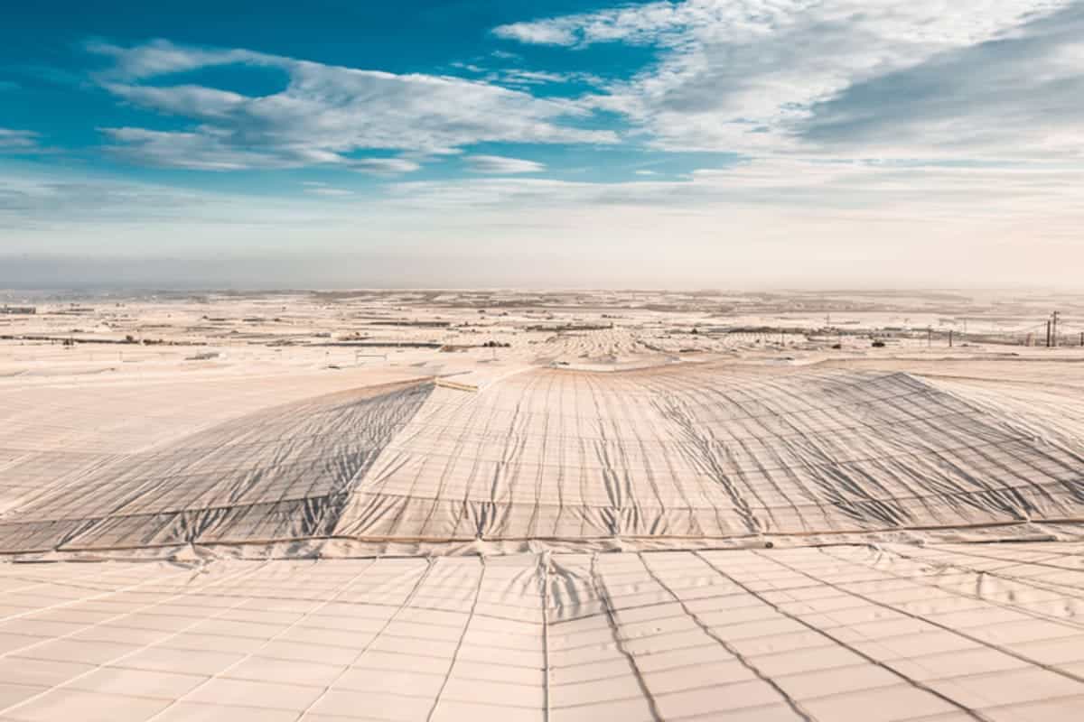 vaste zone de serres