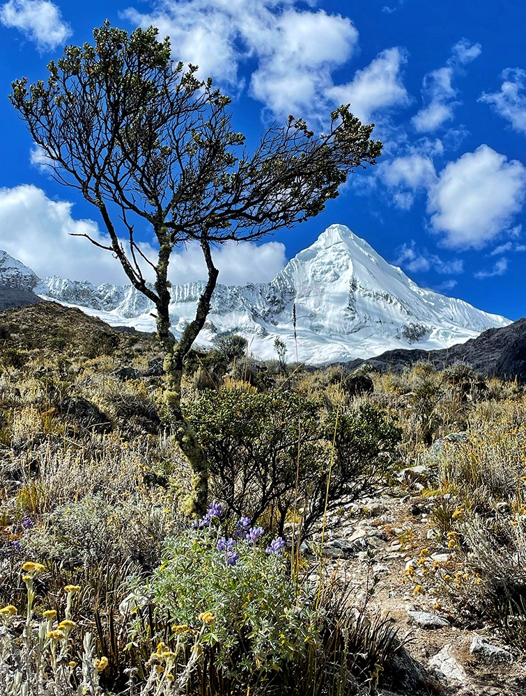 Nicolò Guarrera, Pieroad, Around the World à pied - Nicolò Guarrera du monde entier à pied: Artesonraju 6000m Nicolò Guarrera, Pieroad, Around the World à pied - Nicolò Guarrera du monde entier à pied: Artesonraju 6000m