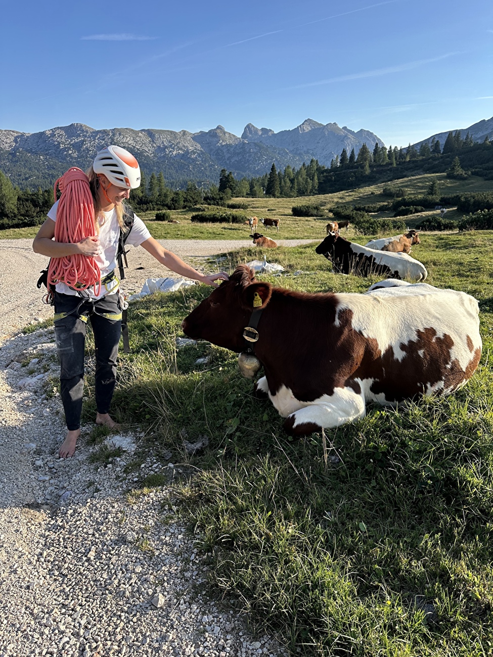 Lara Neumeier End of Silence Feuerhorn - Lara Neumeier au réitér dans les Alpes berchtesgaden en Allemagne, où elle a grimpé `` fin du silence '' (8b +, 360m) sur Feuerhörndl à l'été 2025