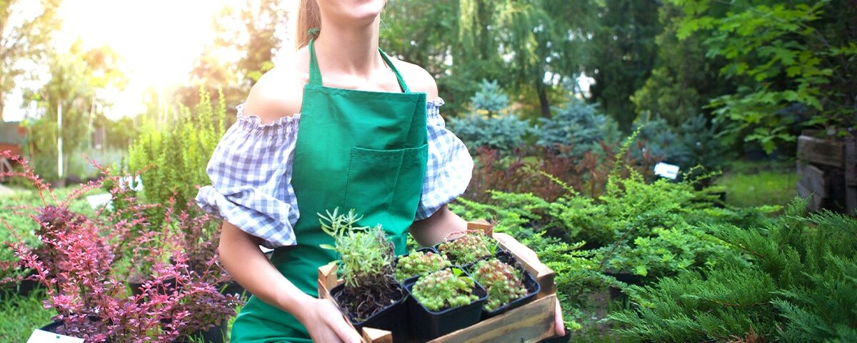 cette astuce de maraîcher a quadruplé mes récoltes malgré la sécheresse