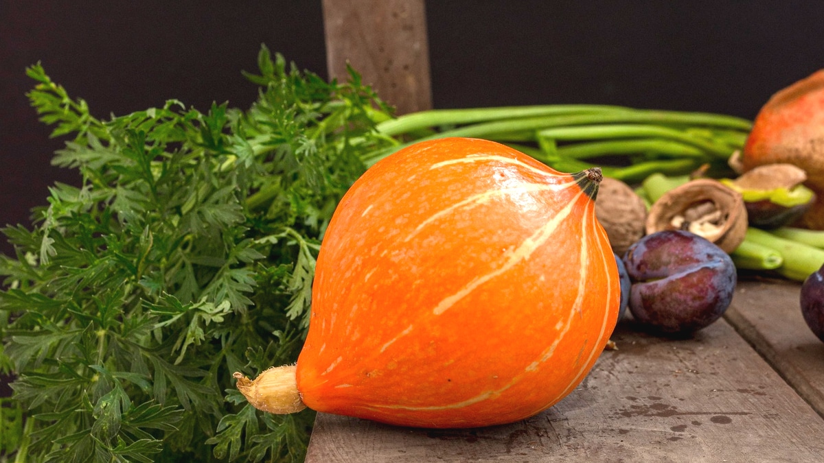 Ce légume oublié à semer après août