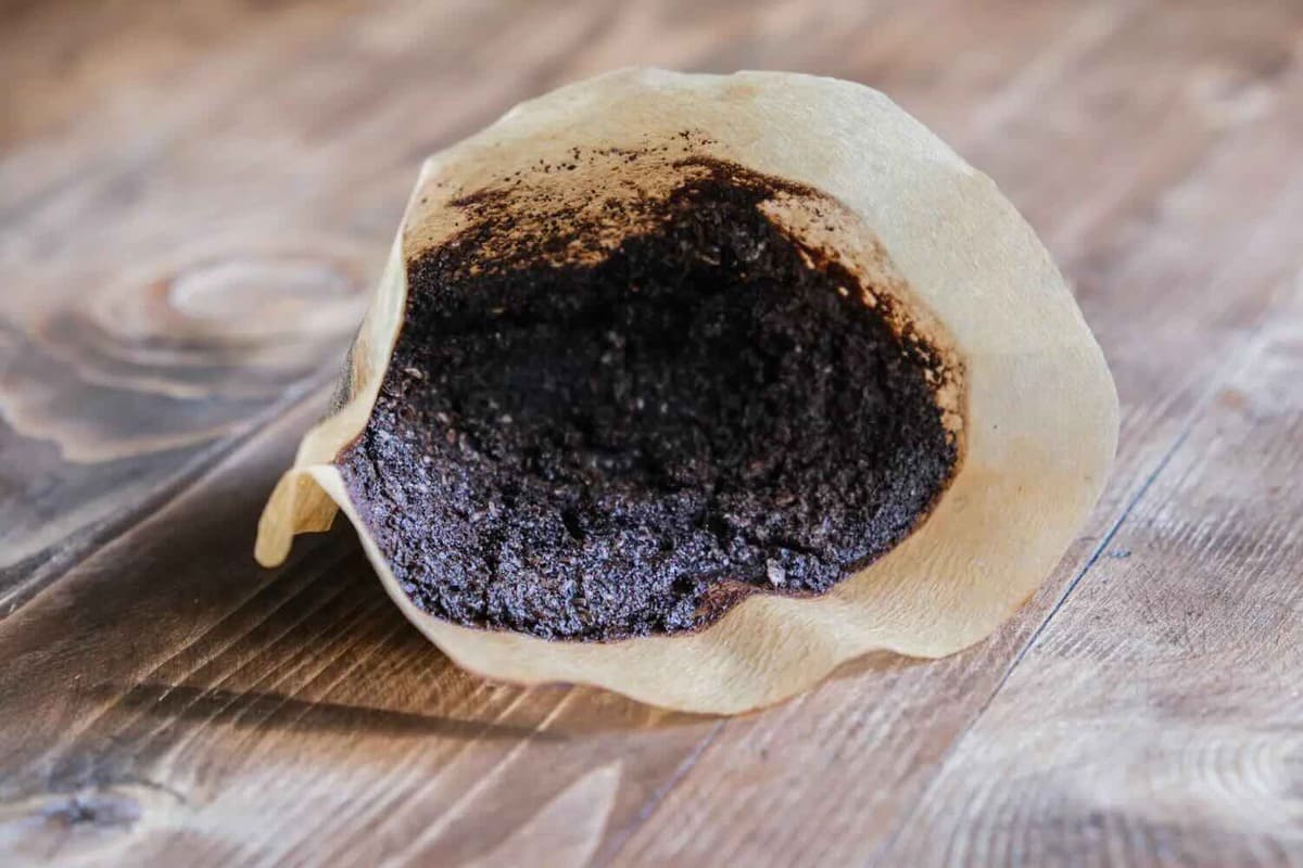 Ne jetez plus votre marc de café