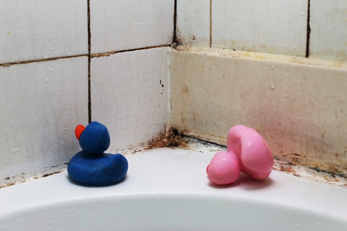 Redonnez de l’éclat à vos joints de douche