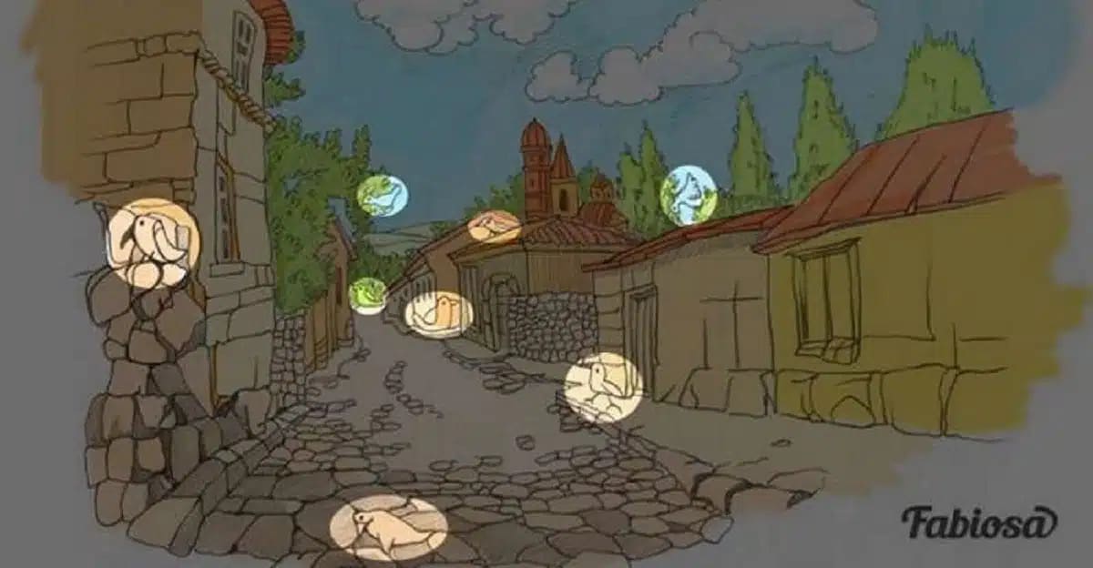 les 8 oiseaux cachés