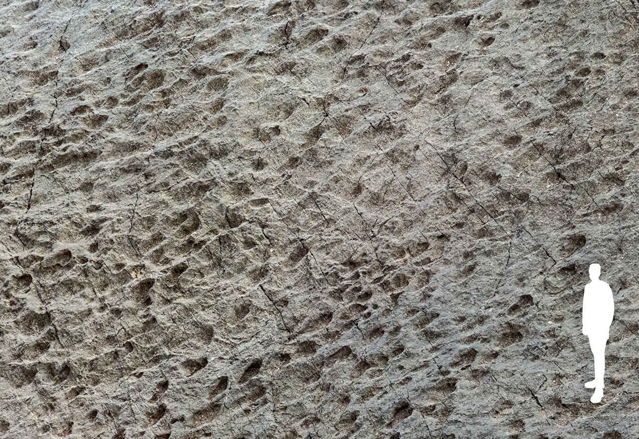 Empreintes de dinosaures dans la Valle di Fraele, Parc National du Stelvio, Italie - Les empreintes de dinosaures dans la Valle di Fraele, Parc National du Stelvio, Italie, découvertes en septembre 2025 par le photographe Elio Della Ferrera Empreintes de dinosaures dans la Valle di Fraele, Parc National du Stelvio, Italie - Les empreintes de dinosaures dans la Valle di Fraele, Parc National du Stelvio, Italie, découvertes en septembre 2025 par le photographe Elio Della Ferrera