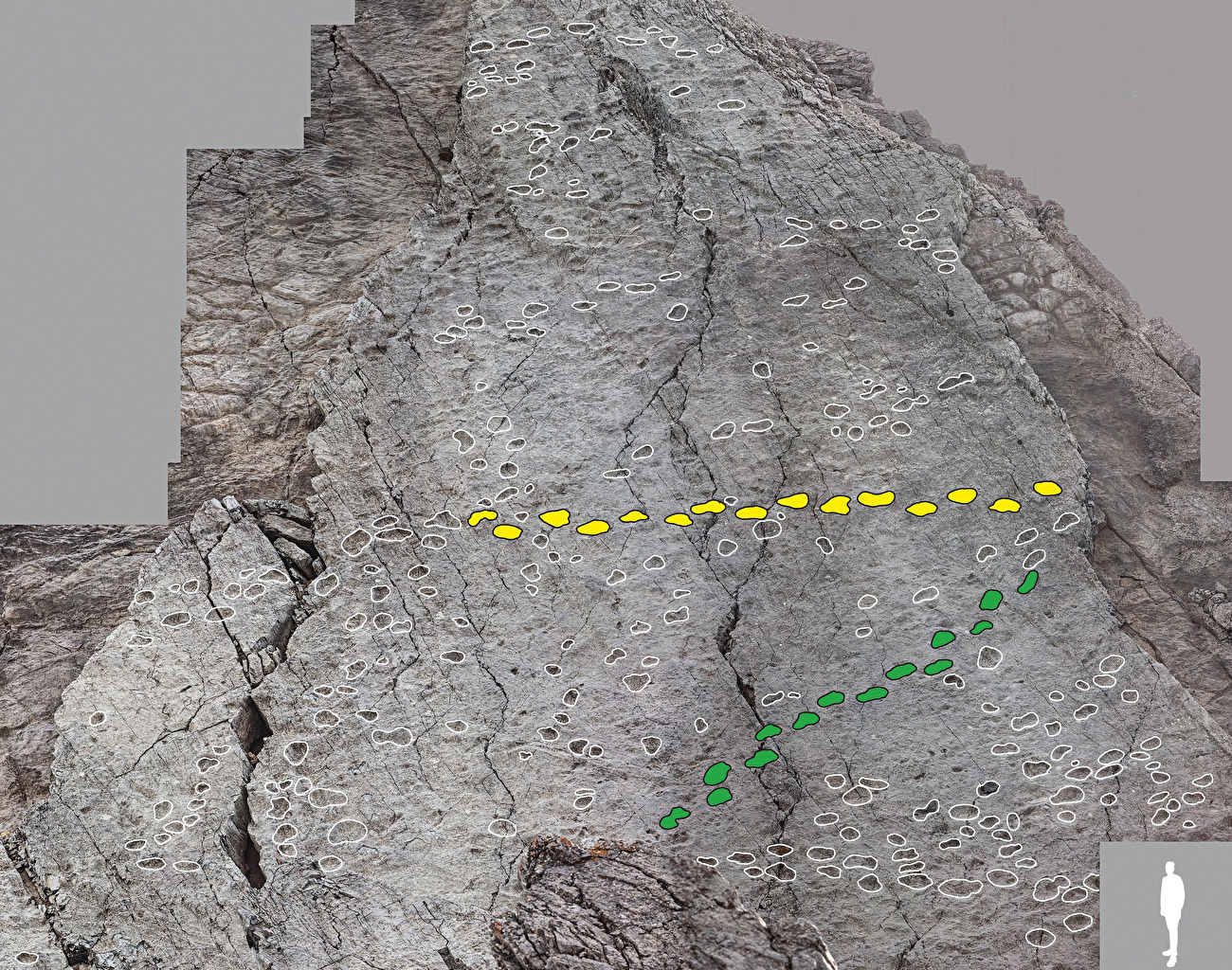 Empreintes de dinosaures dans la Valle di Fraele, Parc National du Stelvio, Italie - Les empreintes de dinosaures dans la Valle di Fraele, Parc National du Stelvio, Italie, découvertes en septembre 2025 par le photographe Elio Della Ferrera Empreintes de dinosaures dans la Valle di Fraele, Parc National du Stelvio, Italie - Les empreintes de dinosaures dans la Valle di Fraele, Parc National du Stelvio, Italie, découvertes en septembre 2025 par le photographe Elio Della Ferrera