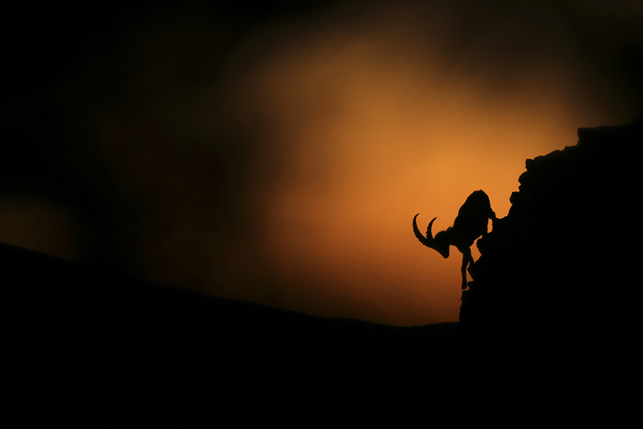 Concours photo commémoratif María Luisa - Lubin Godin - Dernières Lueurs, Concours photo commémoratif María Luisa