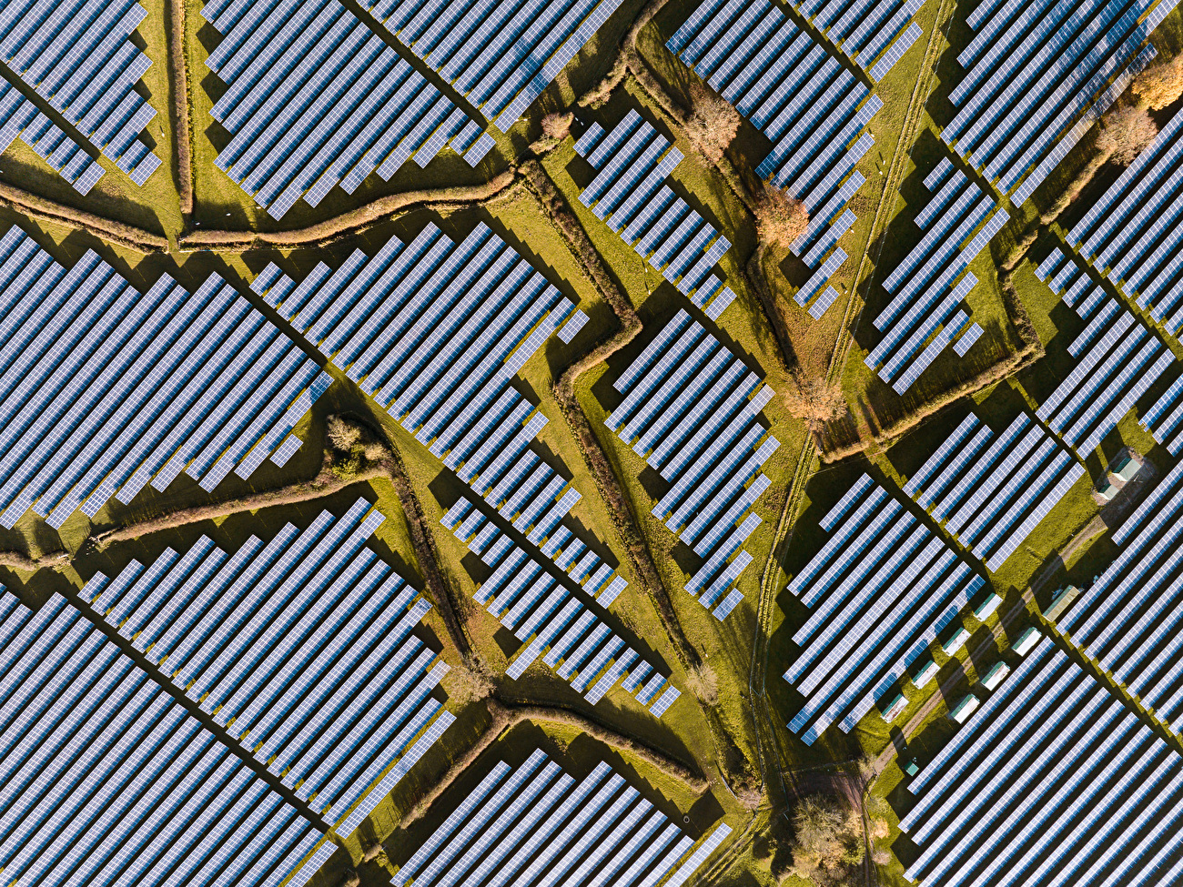 Photographe animalier de l'année Nuveen People's Choice Award 2026 - Solar Waves de Francesco Russo (Royaume-Uni/Italie) : des rangées de panneaux solaires s'étendent à travers le paysage comme des ondulations à la surface de l'eau. Photographe animalier de l'année Nuveen People's Choice Award 2026 - Solar Waves de Francesco Russo (Royaume-Uni/Italie) : des rangées de panneaux solaires s'étendent à travers le paysage comme des ondulations à la surface de l'eau.