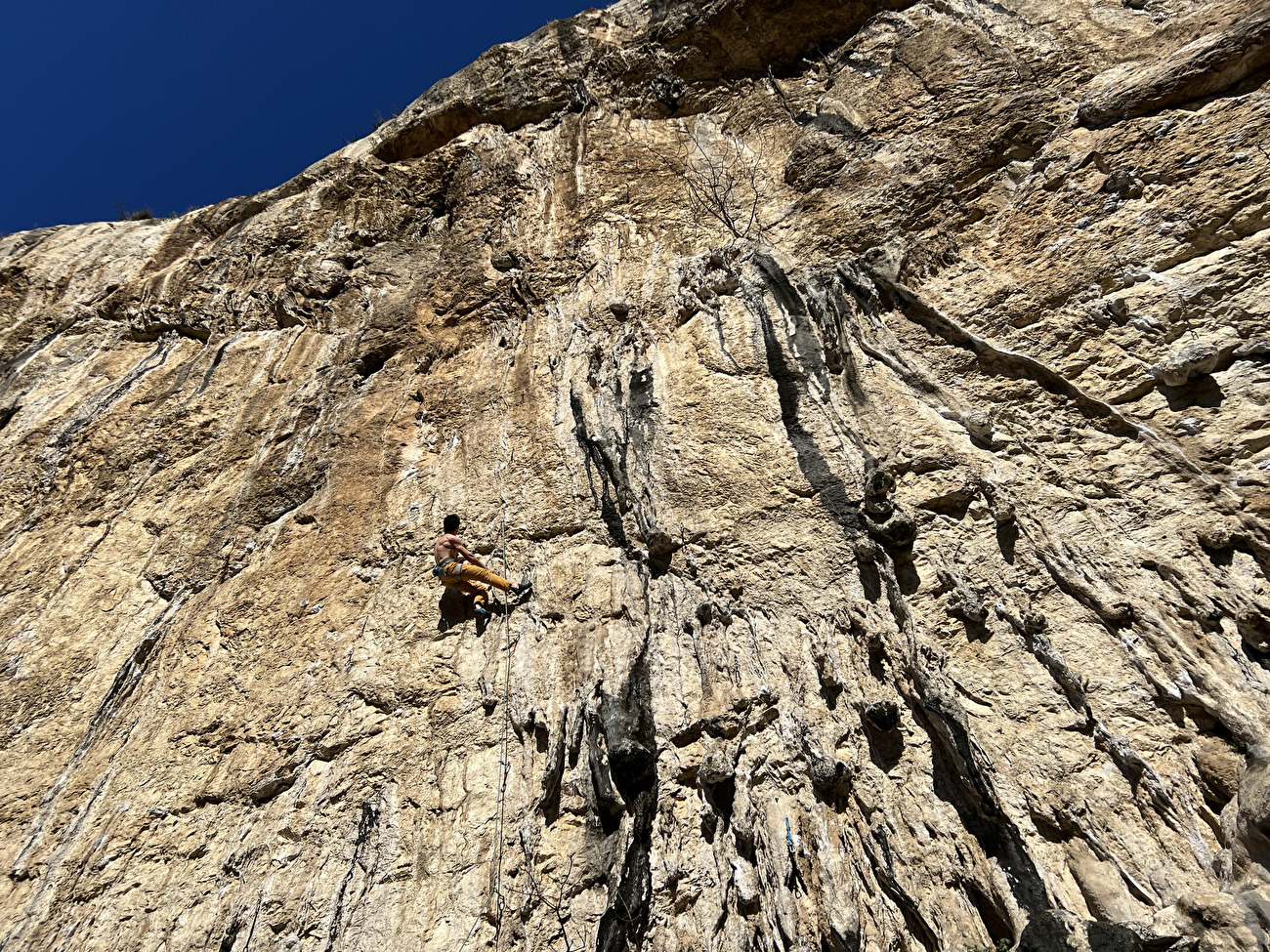 Luca Bacer envoie l'auberge Xaxid (9a) à Mišja Peč en Slovénie