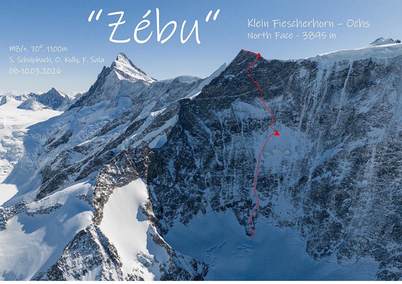 Klein Fiescherhorn, Olivier Kolly, Filippo Sala, Silvan Schüpbach - L'ascension mixte 'Zébu' (M8+, 70°, 1100m) sur la face nord-ouest du Klein Fiescherhorn (Ochs) dans les Alpes bernoises en Suisse (Olivier Kolly, Filippo Sala, Silvan Schüpbach 8-10/03/2026) Klein Fiescherhorn, Olivier Kolly, Filippo Sala, Silvan Schüpbach - L'ascension mixte 'Zébu' (M8+, 70°, 1100m) sur la face nord-ouest du Klein Fiescherhorn (Ochs) dans les Alpes bernoises en Suisse (Olivier Kolly, Filippo Sala, Silvan Schüpbach 8-10/03/2026)