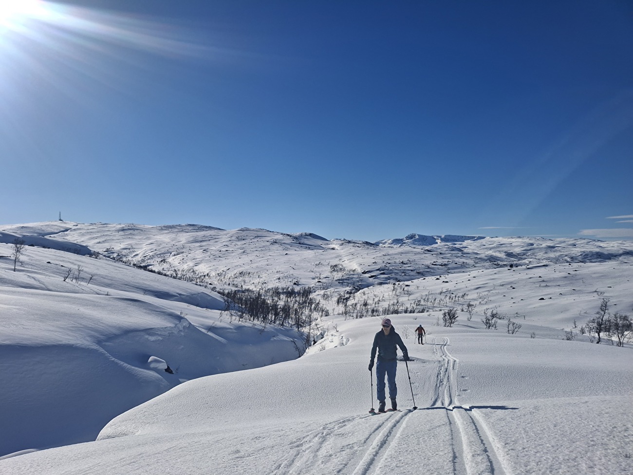 Ski alpinisme Narvik Nordland Norvège - Ski alpinisme autour de Narvik dans le Nordland, Norvège : Nevertind (1420m)