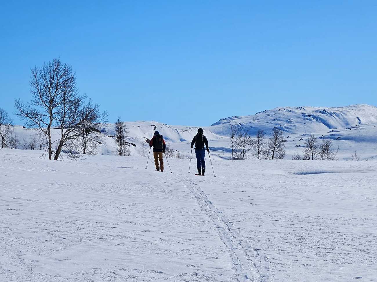 Ski alpinisme Narvik Nordland Norvège - Ski alpinisme autour de Narvik dans le Nordland, Norvège : Nevertind (1420m)