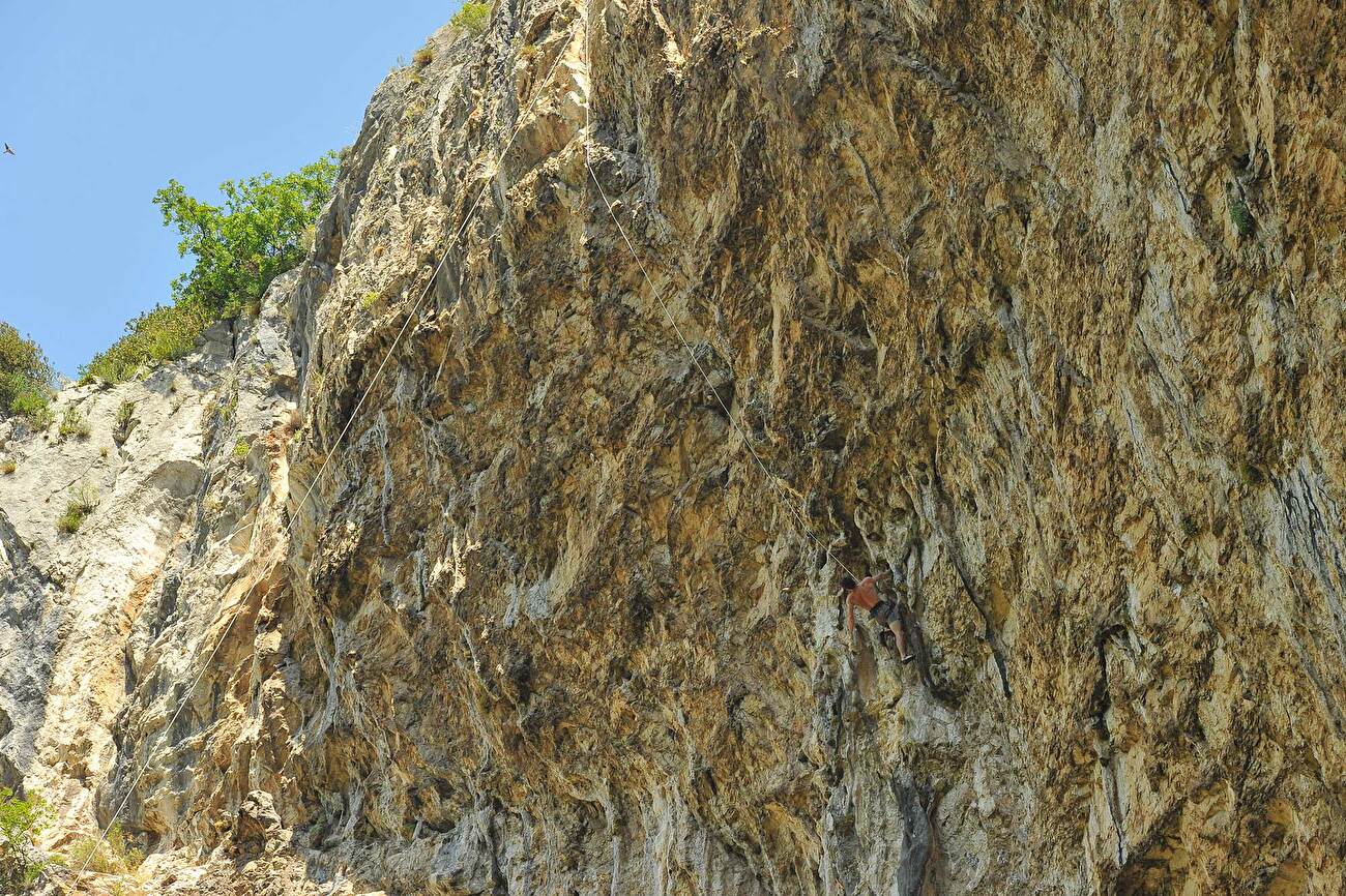 Mina Markovič et Jernej Kruder remportent Janez Jeglič – Johan Memorial à l'Osp