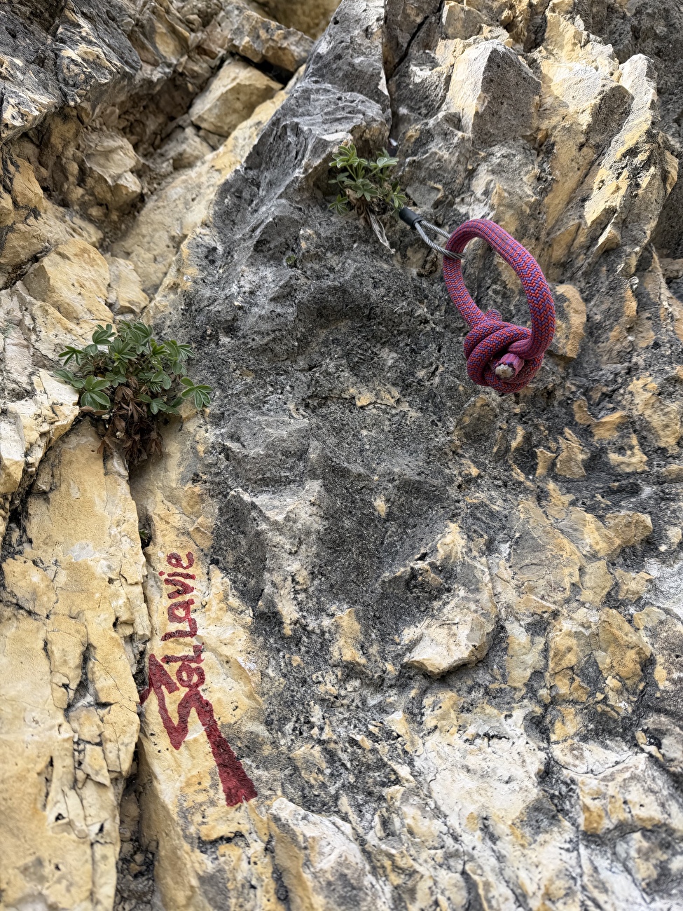 Sellavie Piz Ciavazes, Dolomites, Hubert Eisendle, Simon Kehrer - La première ascension du 'Sellavie' au Piz Ciavazes, Dolomites (Hubert Eisendle, Simon Kehrer 2025-26)